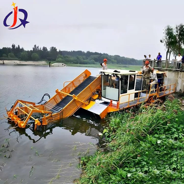 பதுமராகம் மற்றும் வாத்து வெட்டும் படகு